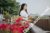 Gia sư giỏi Đơn vị khác chuyên dạy kèm môn Toán, Tiếng Anh, Tiếng Việt