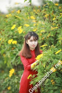Gia sư giỏi Đại học Hà Nội chuyên dạy kèm môn Tiếng Nhật, Tiếng Việt cho người Nhật