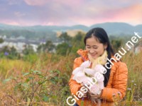 Gia sư giỏi Đại học Luật - Đại học Huế chuyên dạy kèm môn Toán, Ngữ văn, Lịch sử, Địa lý, Tiếng Việt