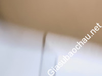 Gia sư giỏi Đại học Sư phạm TP.HCM chuyên dạy kèm môn Toán, Tiếng Anh, Báo bài, Tiếng Việt