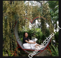 Gia sư giỏi Học viện Quân y chuyên dạy kèm môn Toán